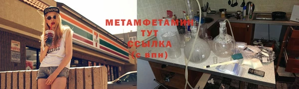 прущие грибы Богородицк