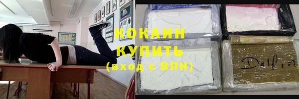 прущие грибы Богородицк
