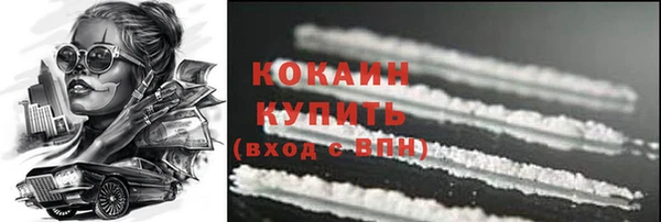 прущие грибы Богородицк