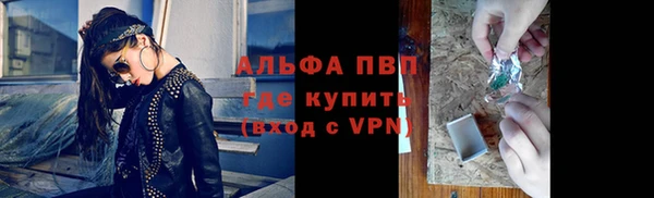 прущие грибы Богородицк