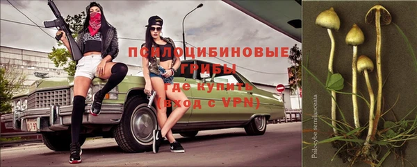 ПСИЛОЦИБИНОВЫЕ ГРИБЫ Остров