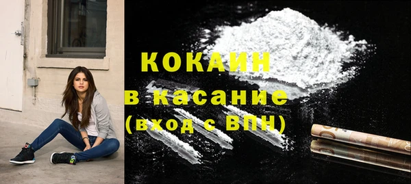 прущие грибы Богородицк