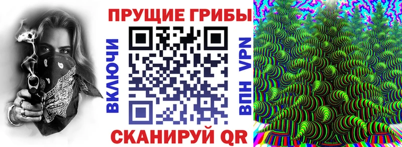 дарнет шоп  Новотроицк  Галлюциногенные грибы GOLDEN TEACHER 